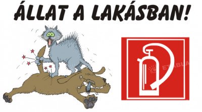 Állat a lakásban tábla